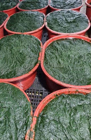 커피한잔의여유님의 작성글 사진