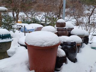 임영수님의 자유주제 · 자유게시판 작성글 사진