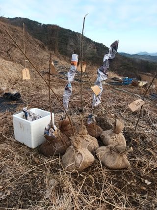 실로암농원님의 자유주제 · 자유게시판 작성글 사진