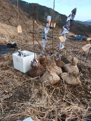 실로암농원님의 자유주제 · 자유게시판 작성글 사진