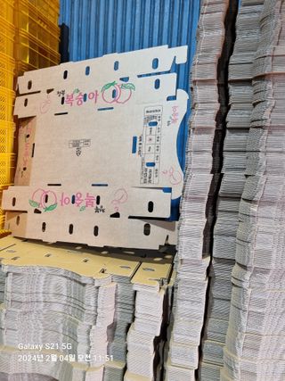 서북청년님의 복숭아 · 자유게시판 작성글 사진