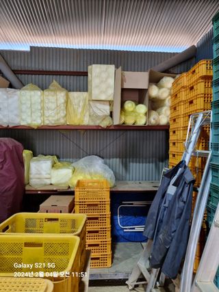 서북청년님의 복숭아 · 자유게시판 작성글 사진