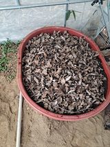 팜모닝 2월 내 작물 자랑하기·참여글 게시글 이미지