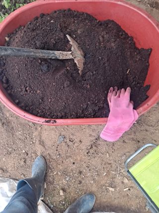 제라늄님의 2월 내 작물 자랑하기 · 참여글 작성글 사진