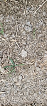 팜모닝 자유주제·자유게시판 게시글 이미지