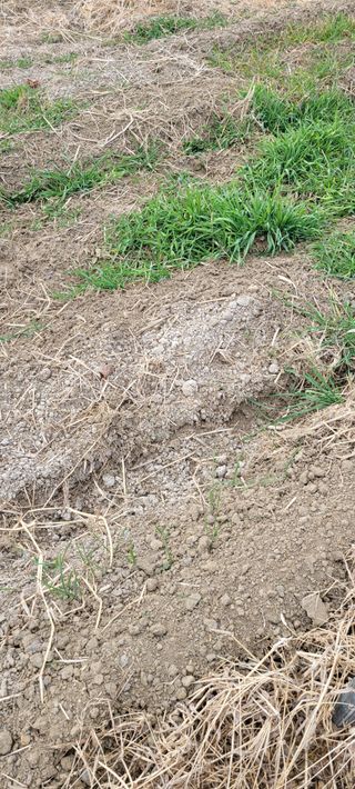 성시리님의 자유주제 · 자유게시판 작성글 사진