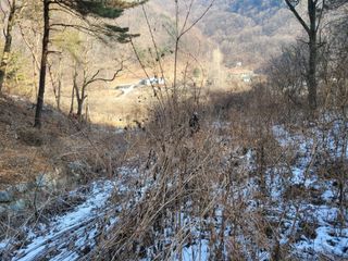 자연농원 순 강재옥님의 자유주제 · 자유게시판 작성글 사진