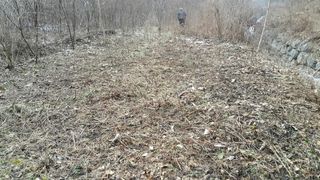 자연농원 순 강재옥님의 자유주제 · 자유게시판 작성글 사진