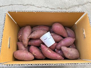 이영민님의 작성글 사진