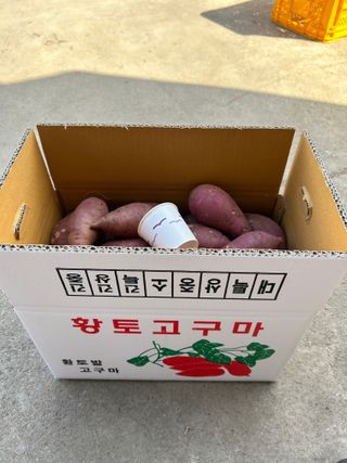 이영민님의 작성글 사진