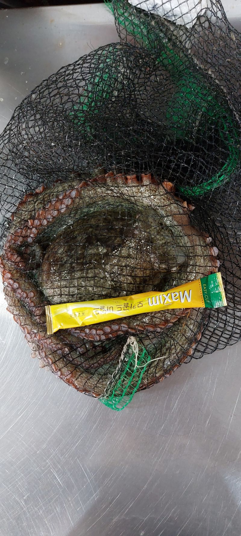 목포제주수산님의 장터 판매 상품 [활문어[돌문어] kg당] 첨부 사진