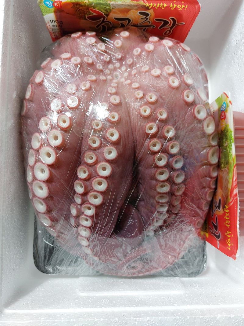 목포제주수산님의 장터 판매 상품 [활문어[돌문어] kg당] 첨부 사진