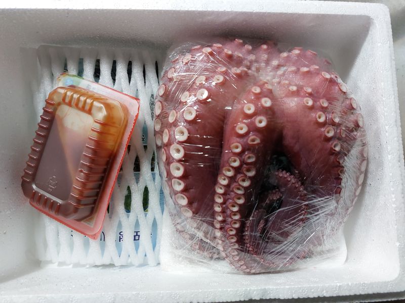 목포제주수산님의 장터 판매 상품 [활문어[돌문어] kg당] 첨부 사진