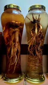 팜모닝 2월 내 작물 자랑하기·참여글 게시글 이미지