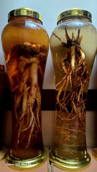 한신희님의 2월 내 작물 자랑하기 · 참여글 작성글 사진