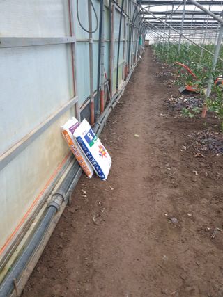 바굼지님의 귤 · 영농일지 작성글 사진