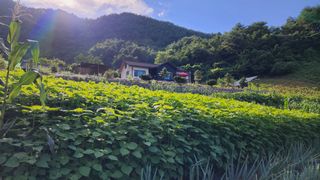 미래농부으쌰님의 팜모닝 · 출석 작성글 사진