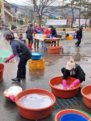 최종금님의 자유주제 · 사진전 작성글 사진