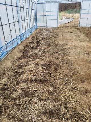 장두학님의 기타작물 · 자유게시판 작성글 사진