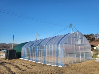 장두학님의 기타작물 · 자유게시판 작성글 사진