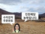 팜모닝 감자·자유게시판 게시글 이미지