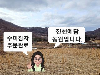 예담농원(민경진)님의 감자 · 자유게시판 작성글 사진