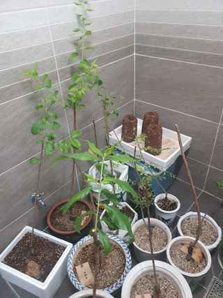 사과짱님의 기타작물 · 자유게시판 작성글 사진