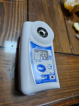 새달귤농장님의 2월 내 작물 자랑하기 · 참여글 작성글 사진