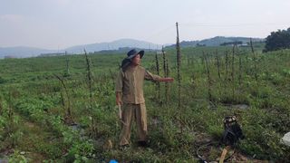 서울농부님의 참깨 · 자유게시판 작성글 사진