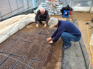 따사매님의 2월 내 작물 자랑하기 · 참여글 작성글 사진