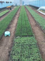 팜모닝 2월 내 작물 자랑하기·참여글 게시글 이미지