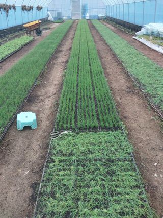 호두마음님의 2월 내 작물 자랑하기 · 참여글 작성글 사진