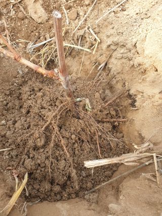 논산푸른팜님의 2월 내 작물 자랑하기 · 참여글 작성글 사진