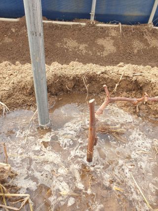 논산푸른팜님의 2월 내 작물 자랑하기 · 참여글 작성글 사진