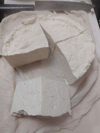 올리브 농장님의 콩 · 자유게시판 작성글 사진