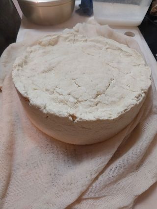 올리브 농장님의 콩 · 자유게시판 작성글 사진