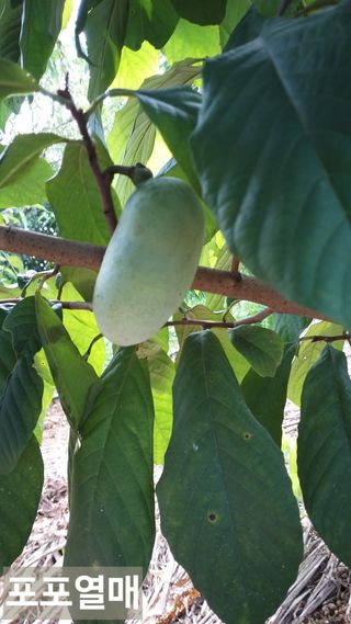 풍요님의 기타작물 · 자유게시판 작성글 사진