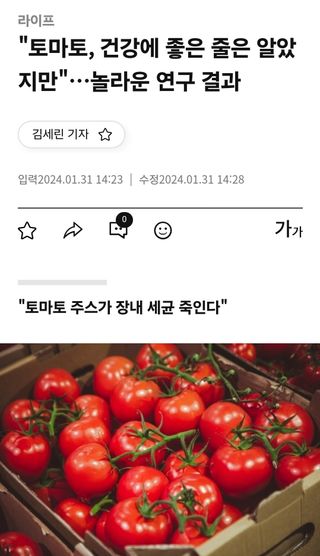 김지연님의 토마토·일상 작성글 사진
