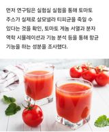 김지연님의 토마토·일상 작성글 사진