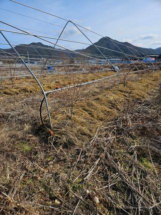 용균식님의 2월 내 작물 자랑하기 · 참여글 작성글 사진