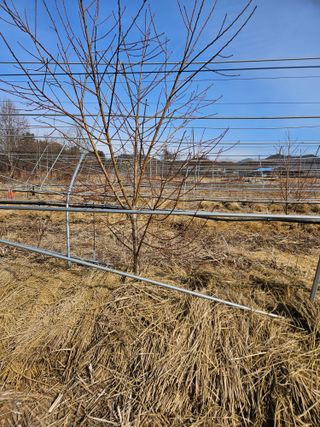 용균식님의 2월 내 작물 자랑하기 · 참여글 작성글 사진