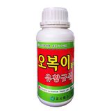 팜모닝 · 게시글 이미지