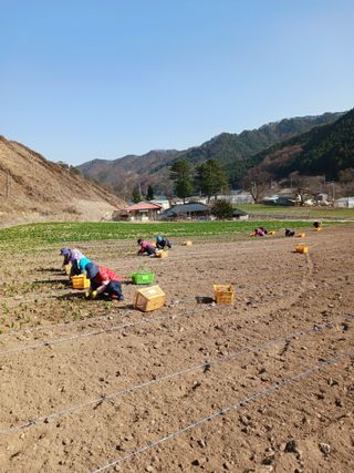 황덕순 님의 기타작물 · 병해충상담 작성글 사진