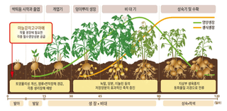 자재스토어님의 작성글 사진