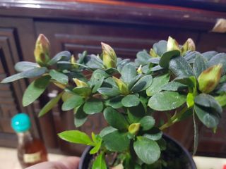 박귀님의 자유주제 · 자유게시판 작성글 사진