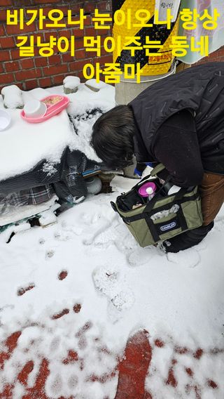 장철식님의 자유주제 · 자유게시판 작성글 사진