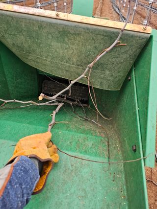 망운천지향토농원님의 자유주제 · 자유게시판 작성글 사진