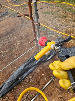 망운천지향토농원님의 자유주제 · 자유게시판 작성글 사진