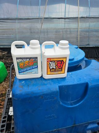 망운천지향토농원님의 자유주제 · 자유게시판 작성글 사진