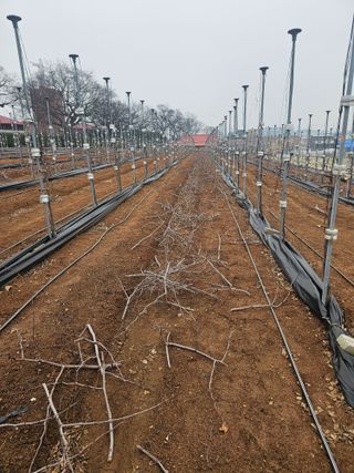망운천지향토농원님의 자유주제 · 자유게시판 작성글 사진